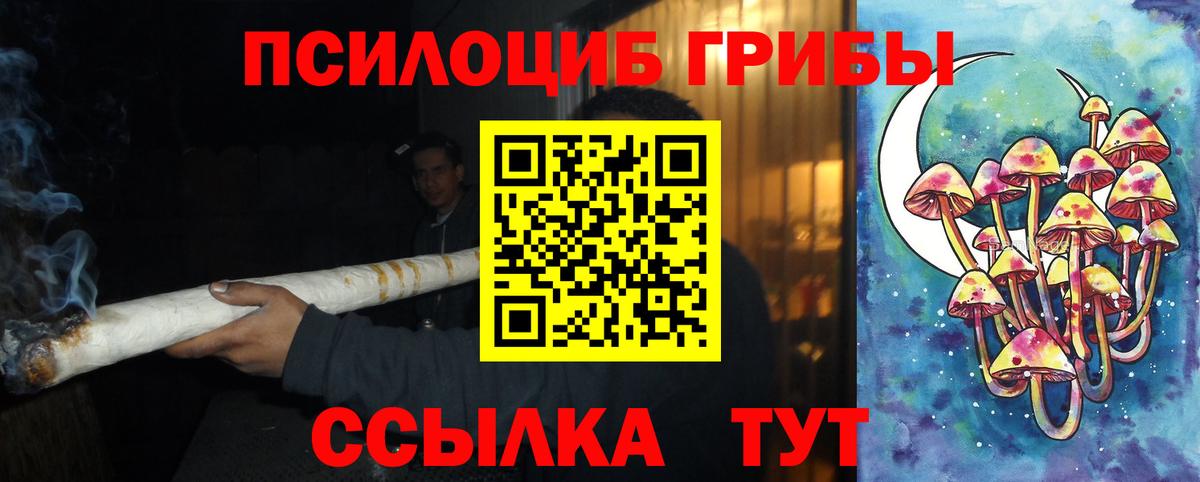 Псилоцибиновые грибы Psilocybine cubensis  Вход с VPN  Видное 